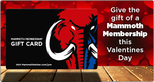 Mammoth Nation | Exclusive American & Veteran-Owned Merchant Discounts